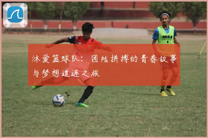 沐爱篮球队：团结拼搏的青春故事与梦想追逐之旅