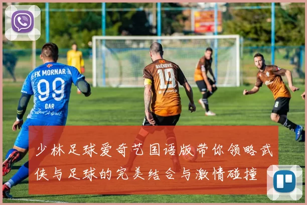 少林足球爱奇艺国语版带你领略武侠与足球的完美结合与激情碰撞