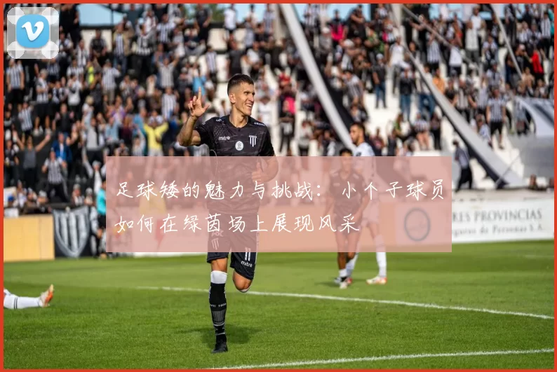 足球矮的魅力与挑战：小个子球员如何在绿茵场上展现风采
