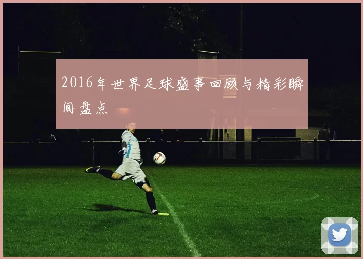 2016年世界足球盛事回顾与精彩瞬间盘点